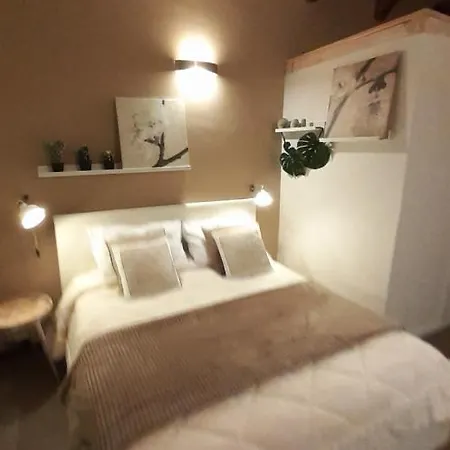 La Casa Delle Palme