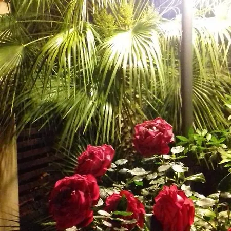 Πανσιόν La Casa Delle Palme Μόντικα