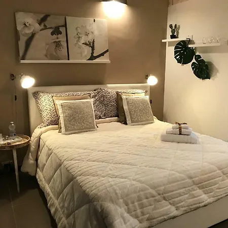 La Casa Delle Palme *