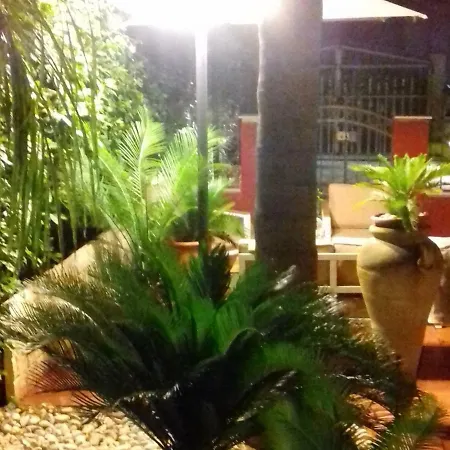 La Casa Delle Palme Πανσιόν