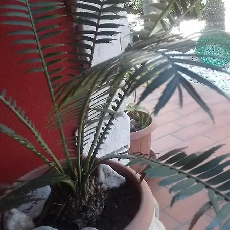 Πανσιόν La Casa Delle Palme